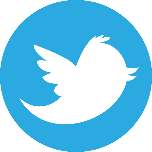 File:Twitter-icon-65.png